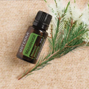 dōTERRA Melaleuca (Tea Tree) Essential Oil - 15ml